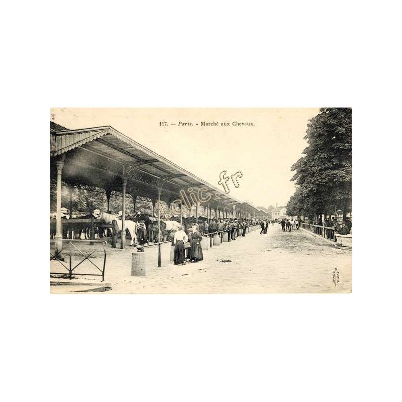 Arrondissement-13