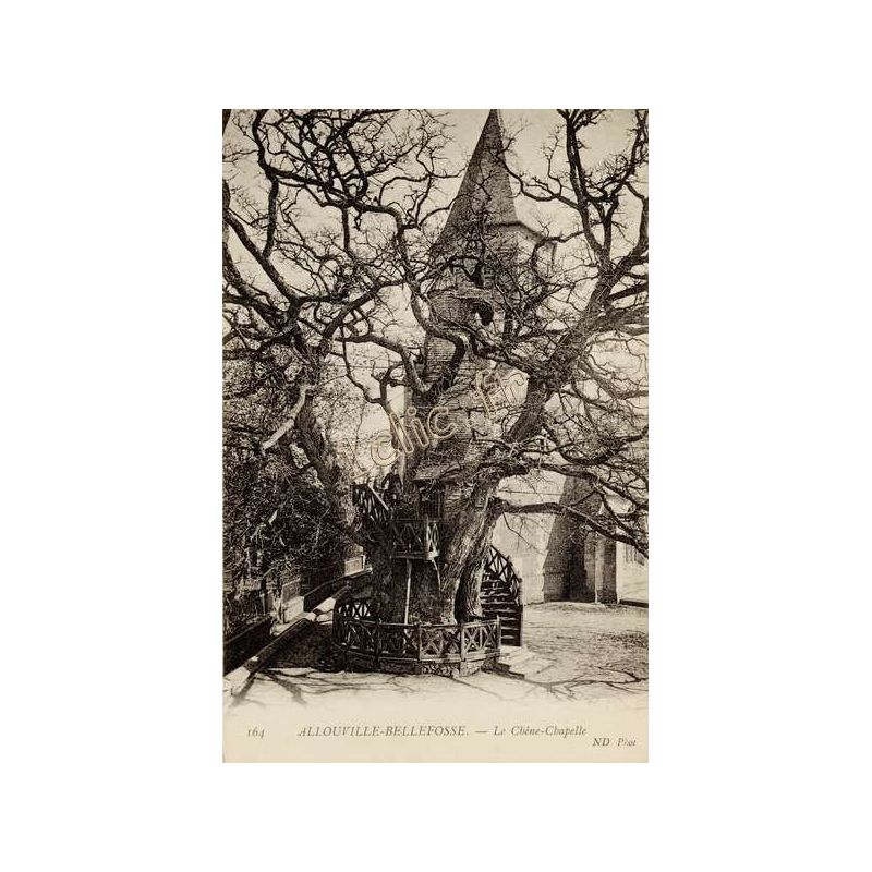 Allouville-Bellefosse