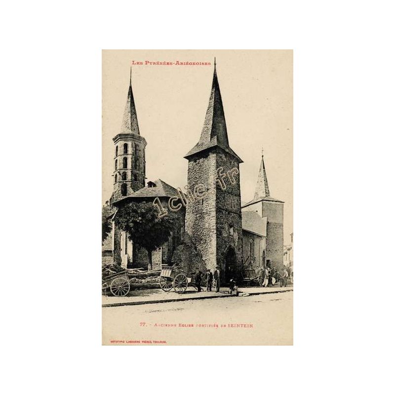 Sentein
