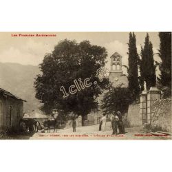 Vebre