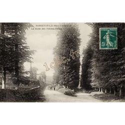 Sassetot-Le-Mauconduit