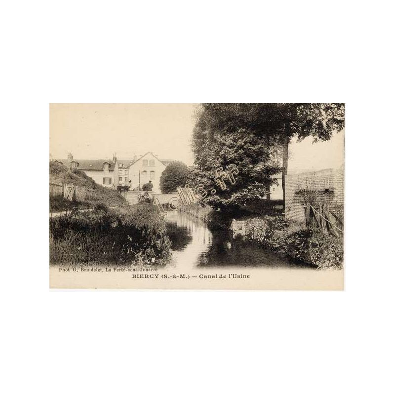 Biercy