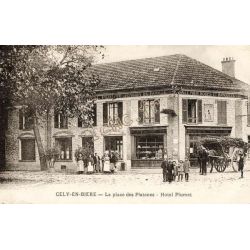 Cely