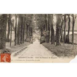 Cerneux