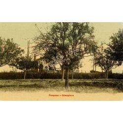 Pecqueux