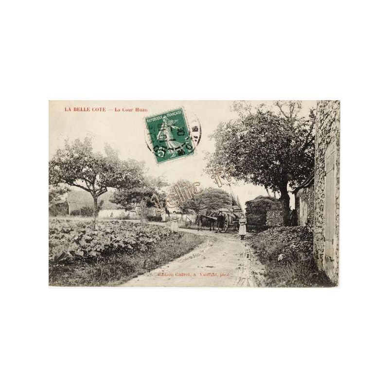 Belle-Cote