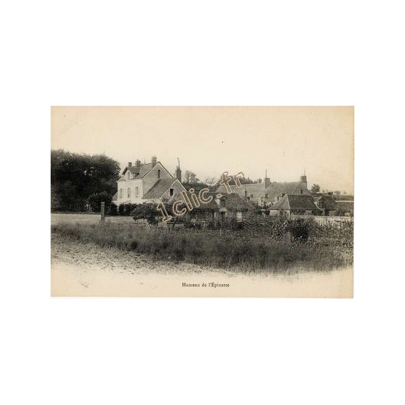 Epinette