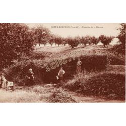 Saulx-Marchais