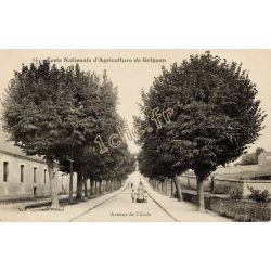 Thiverval-Grignon