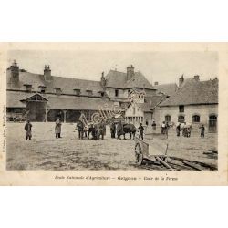 Thiverval-Grignon