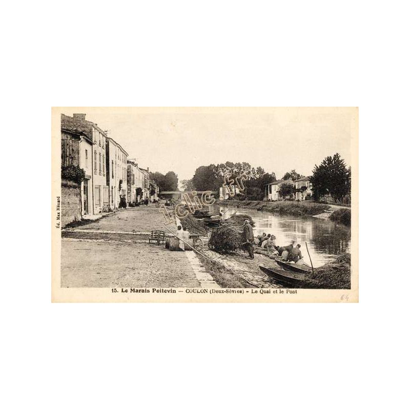 Coulon