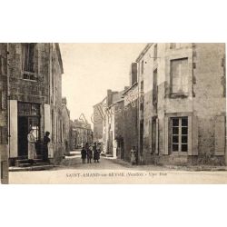 Saint-Amand-Sur-Sevre