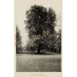Ayencourt