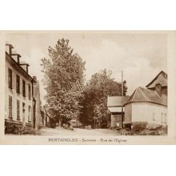 Bertangles