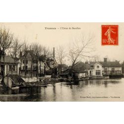 Trannes