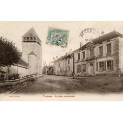 Trannes