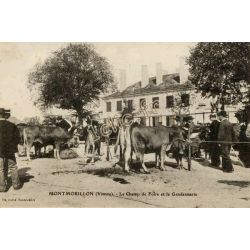 Montmorillon