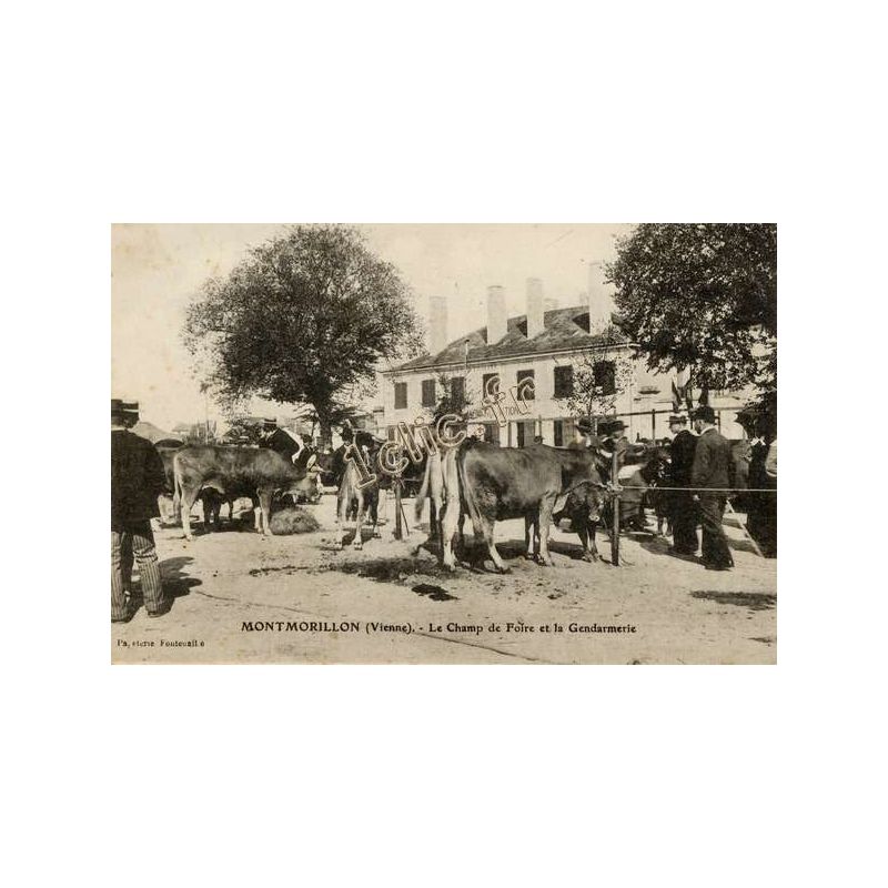 Montmorillon