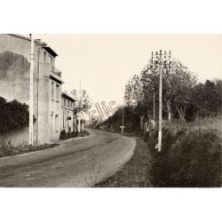 Loupia