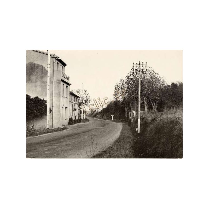 Loupia