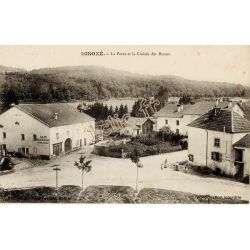 Dinoze