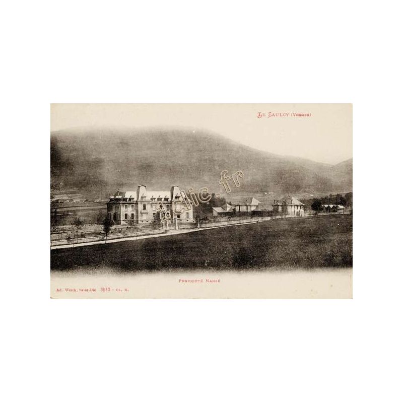 Le Saulcy