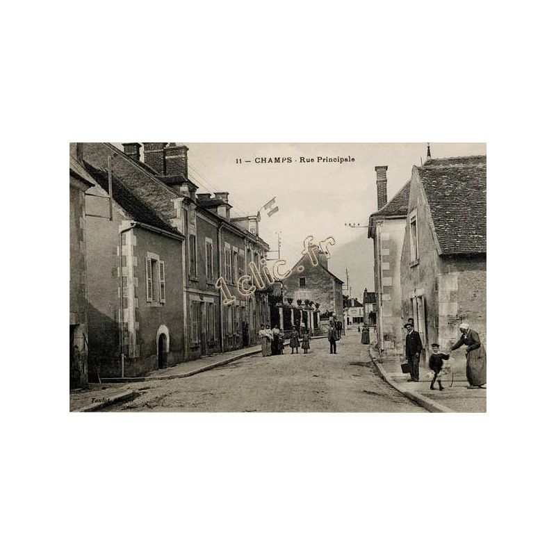 Champs-Sur-Yonne