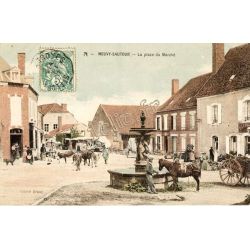 Neuvy-Sautour