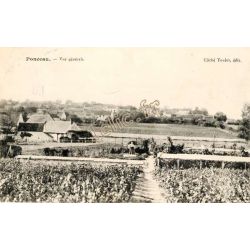 Ponceau