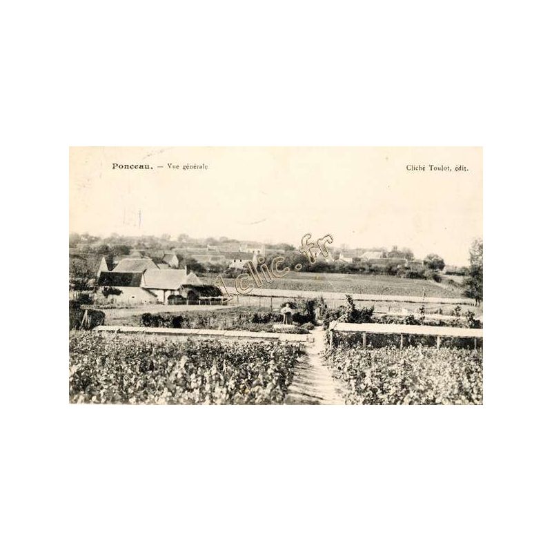 Ponceau