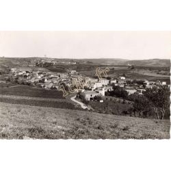Salsigne