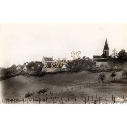 Villon