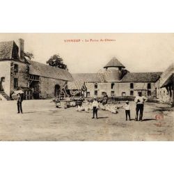 Vinneuf