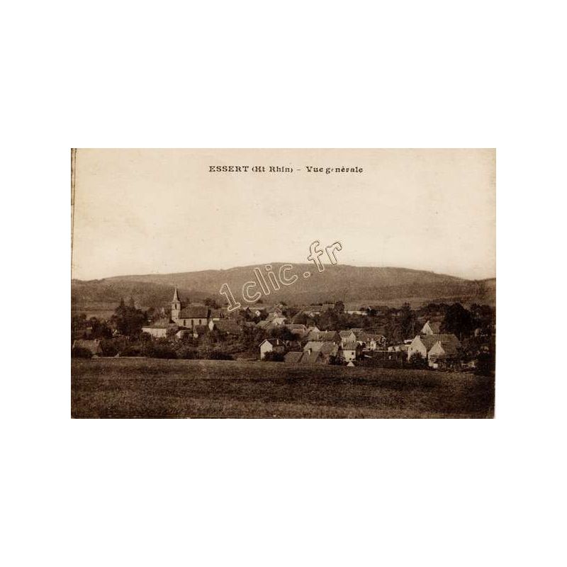 Essert