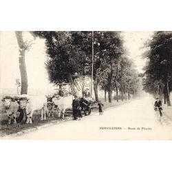 Survilliers