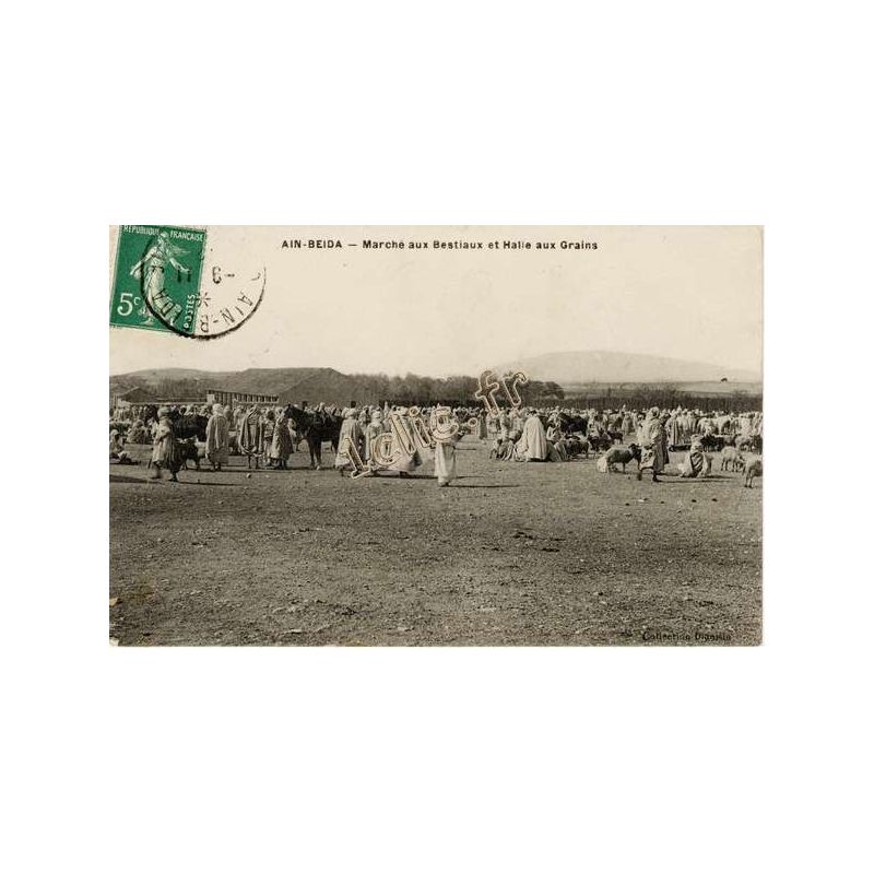 Ain-Beida