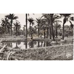Ain-Salah