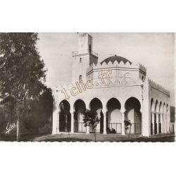 Ammi-Moussa