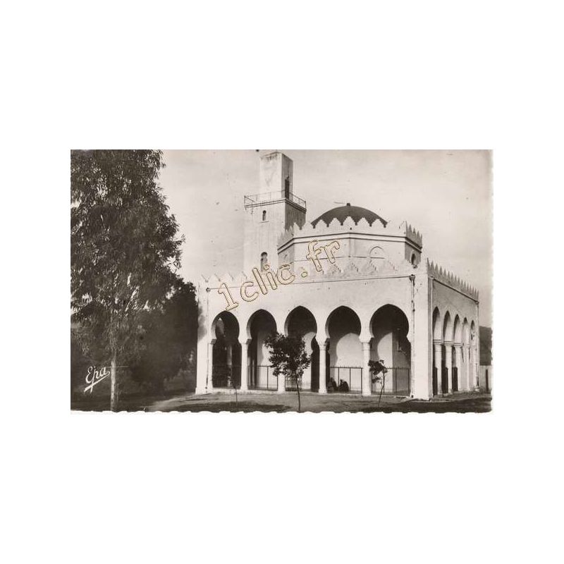 Ammi-Moussa