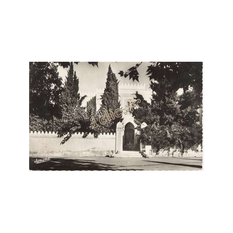 Ben-Aknoun