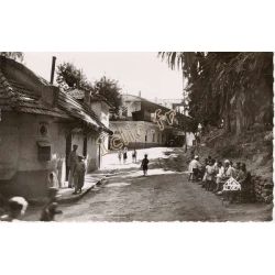 Hammam-Righa