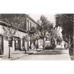 Teniet-El-Haad