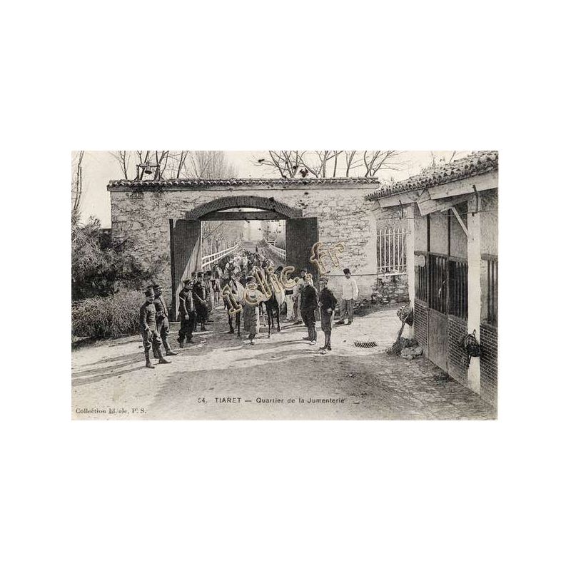 Tiaret