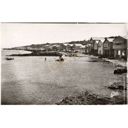 Tipaza