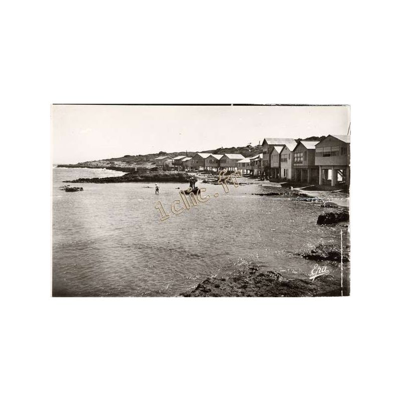 Tipaza