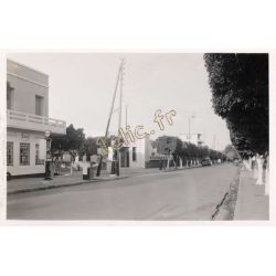 Tipaza