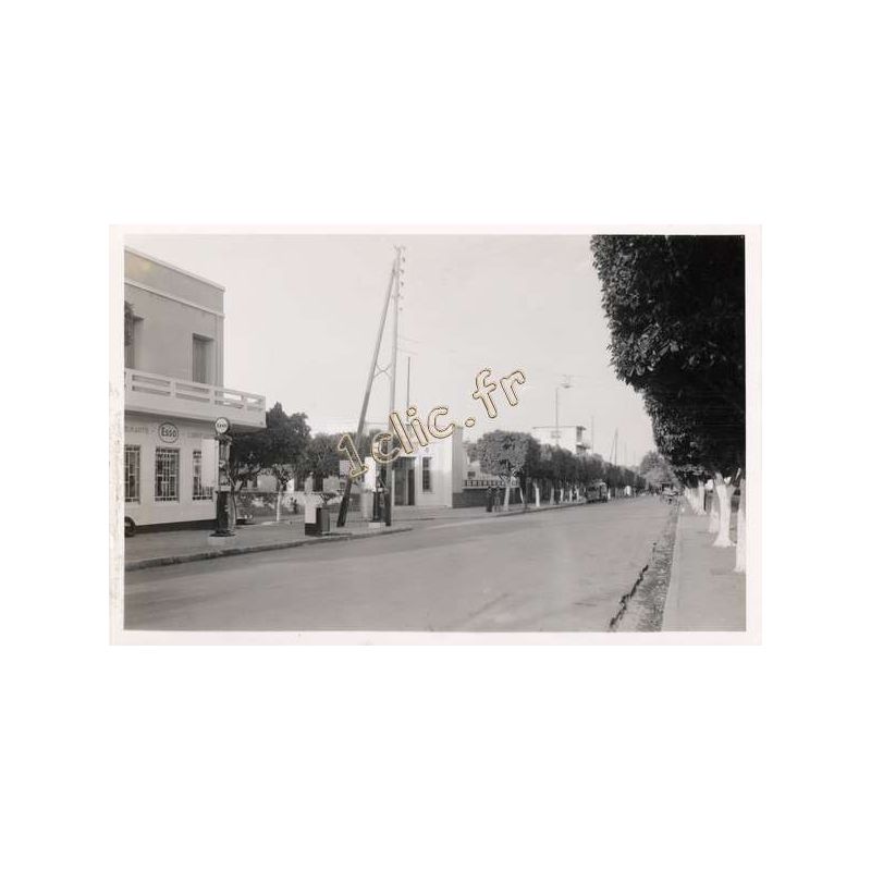 Tipaza