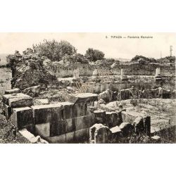 Tipaza
