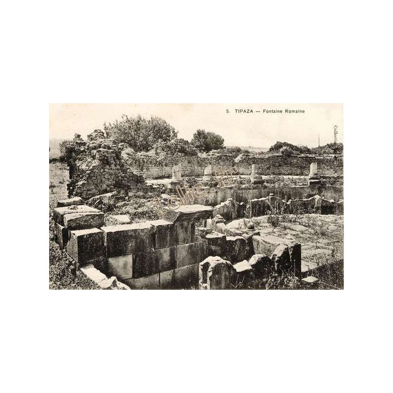 Tipaza