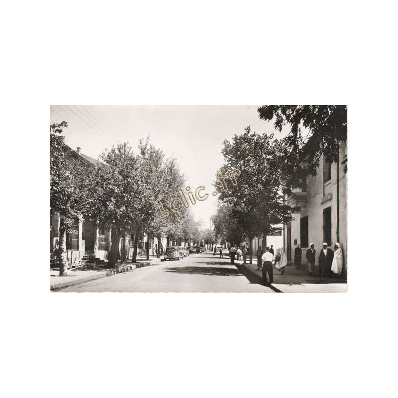 Vialar